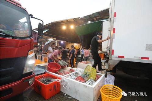 普惠金融推進月 活水涌向水產與百貨，農批貸精準紓困解難題