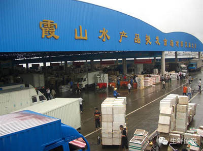 讓天下沒有難賣的魚蝦！探秘中國主要水產品批發市場
