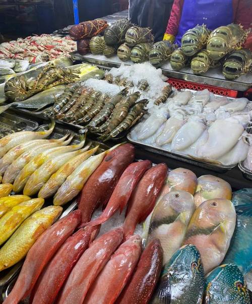 免租半年，搶占先機！博羅水西農貿綜合批發市場水產海鮮一級批發平臺盛裝啟幕