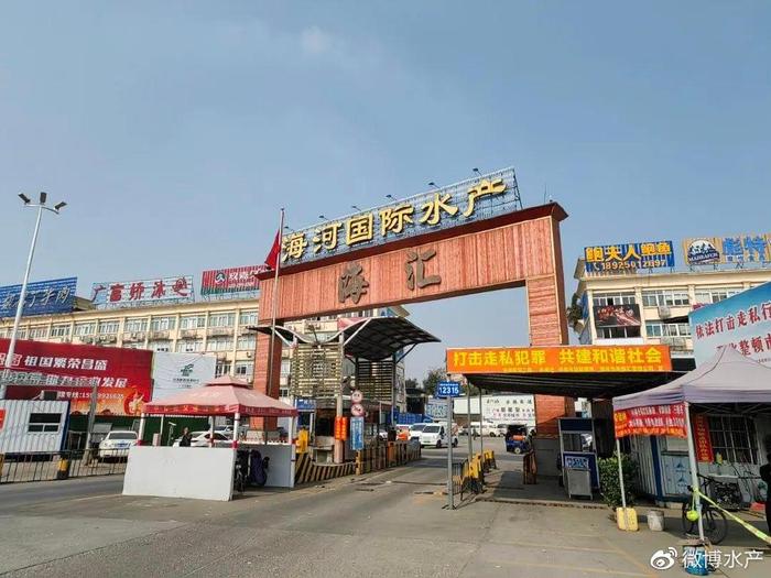 加拿大北極蝦，新鮮直供廣州海河水產批發市場