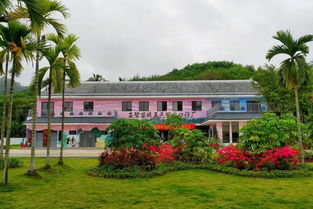 探索 造血式 扶貧新機(jī)制 石碧苗妹五色粽廠邁出發(fā)展新步伐