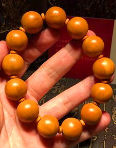 洛寧縣東林苗木 3 美國(guó)猴頭核桃精品鑒賞 光珠手串